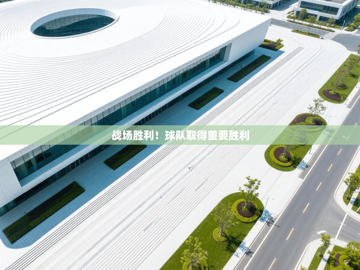 战场胜利！球队取得重要胜利  第1张
