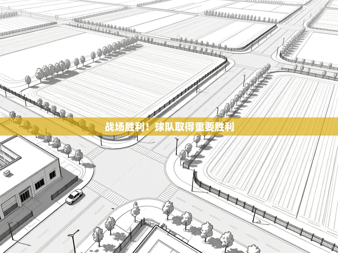 战场胜利！球队取得重要胜利  第2张