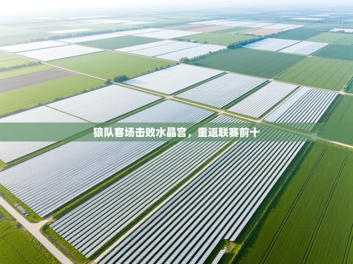 狼队客场击败水晶宫，重返联赛前十