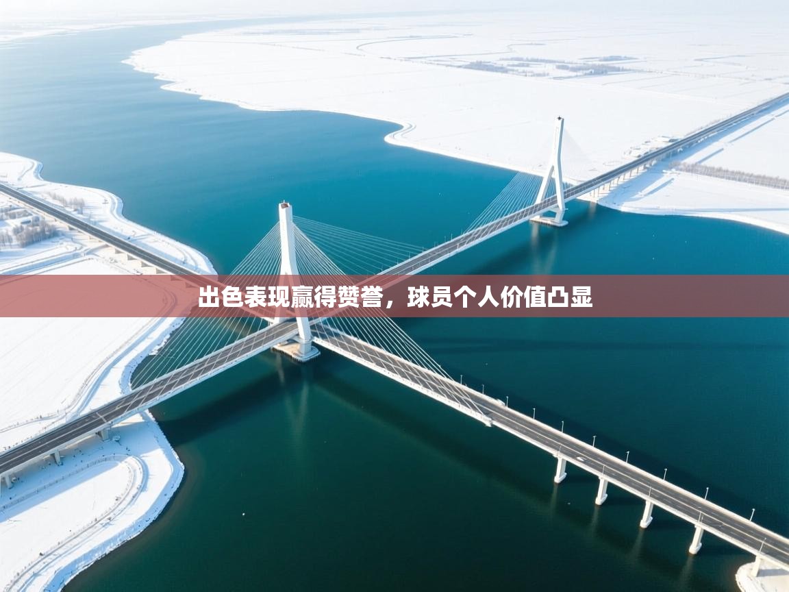 出色表现赢得赞誉,球员个人价值凸显 第1张