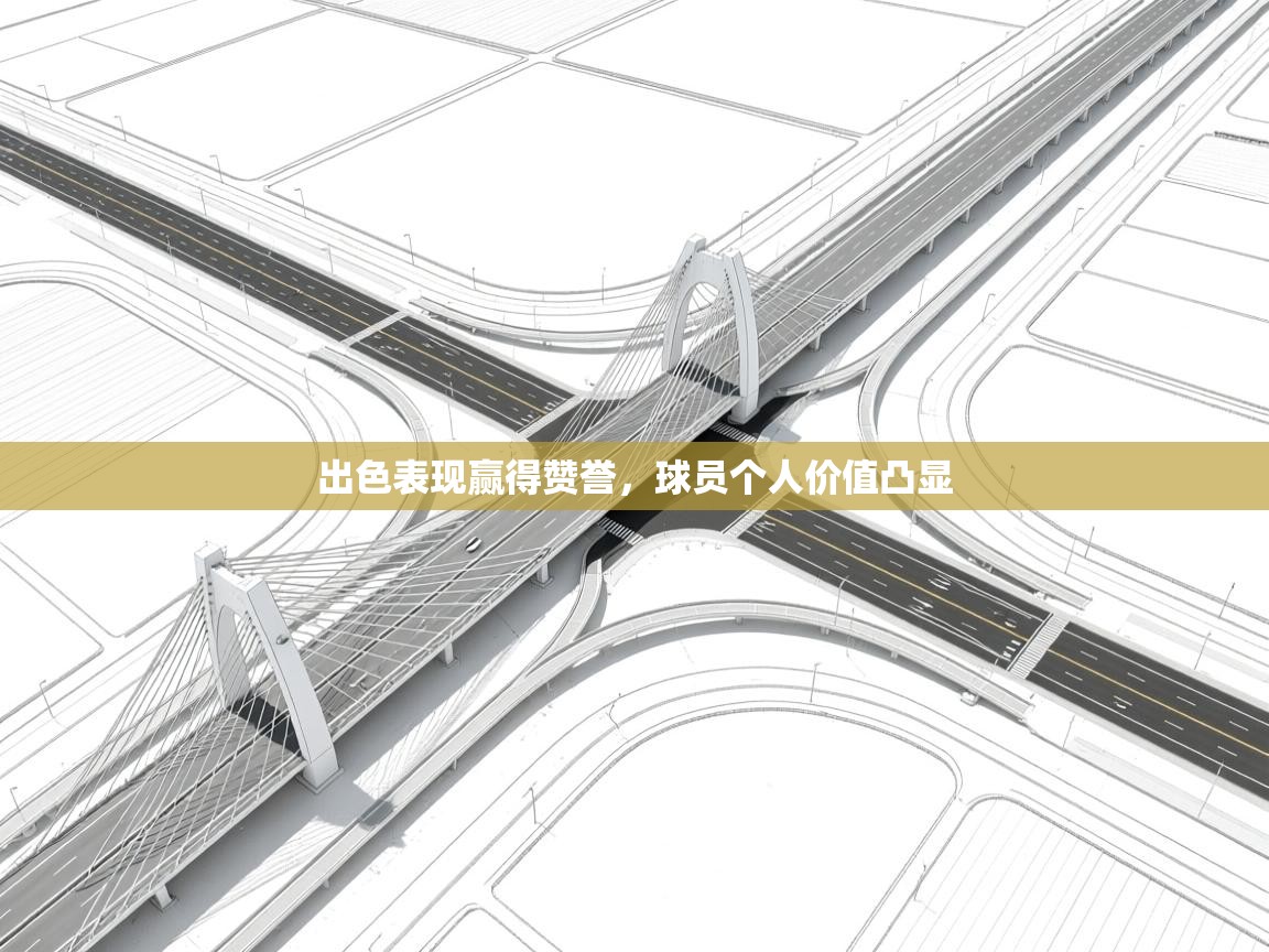 出色表现赢得赞誉,球员个人价值凸显 第2张